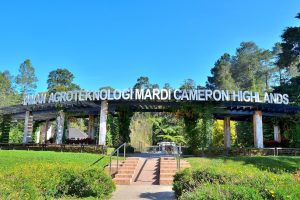 Agro Technology Park MARDI Cameron Highlands