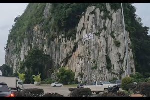 ECO OPTIC GUA MUSANG