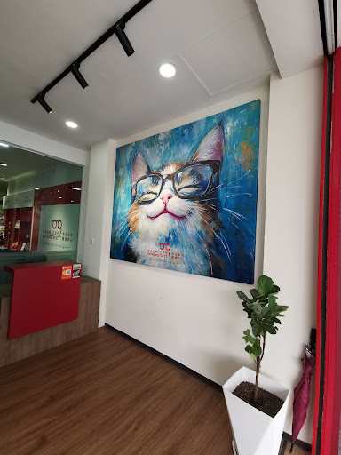 Premiere Optometrist 专业验光眼镜中心 ️ Refraction/Multifocal fitting/Children’s Eye Care/Contact lenses/Lazy Eyes & Double Vision