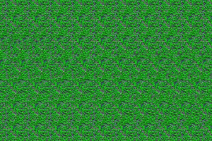 Illusion Eye Solutions