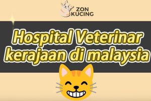 Klinik Haiwan & Surgeri Tuaran