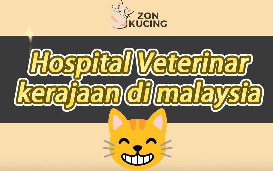 Klinik Haiwan & Surgeri Tuaran 1 klinik haiwan surgeri tuaran