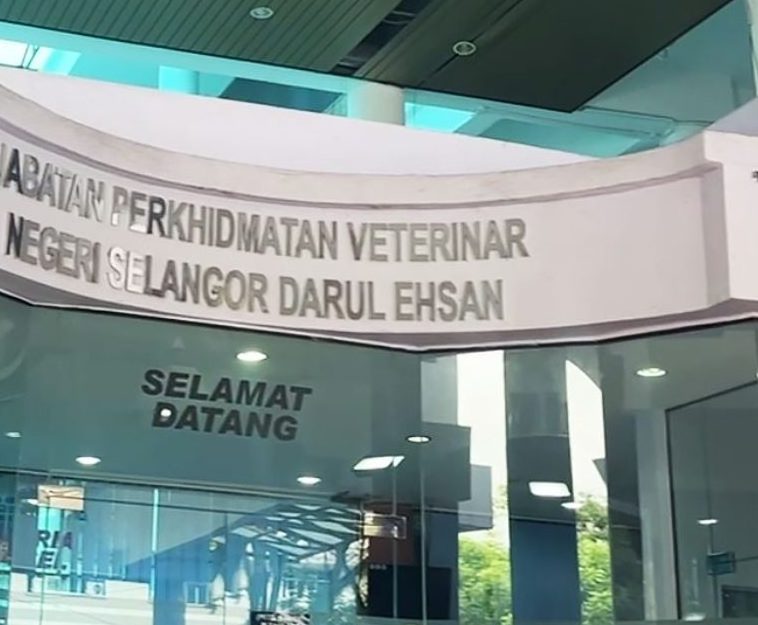 Pejabat Perkhidmatan Veterinar Hulu Terengganu 1 pejabat perkhidmatan veterinar hulu terengganu