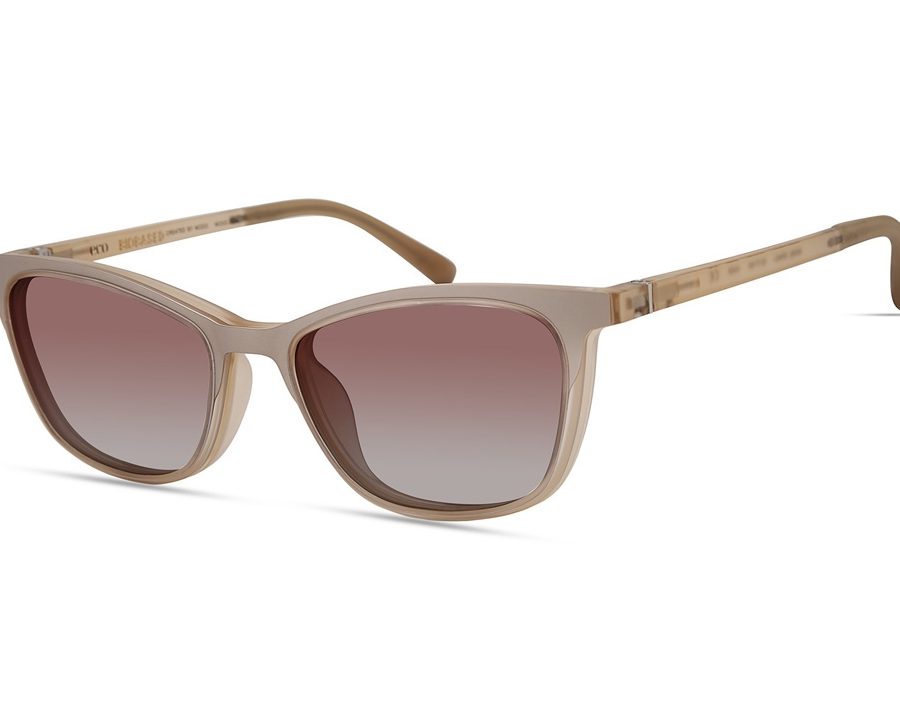 Specscraft Eyewear (Eco Galleria) 1 specscraft eyewear eco galleria
