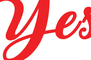 YES OPTICAL (M) SDN BHD (TAIPING)